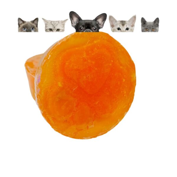 APICREAM JABÓN PARA MASCOTAS