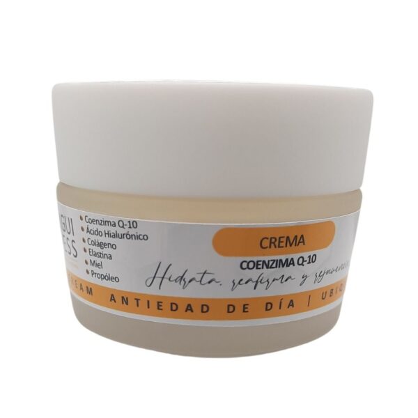APICREAM ANTIEDAD Q10