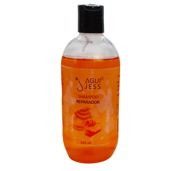 APICREAM Shampoo Reparador