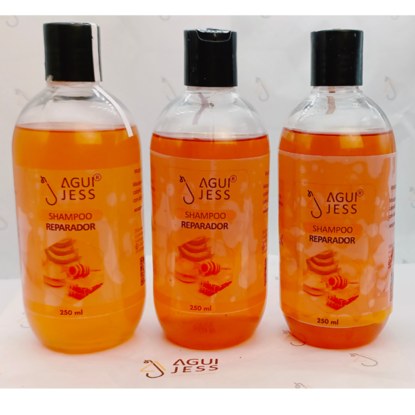 APICREAM Shampoo Reparador  | Venta al Mayor